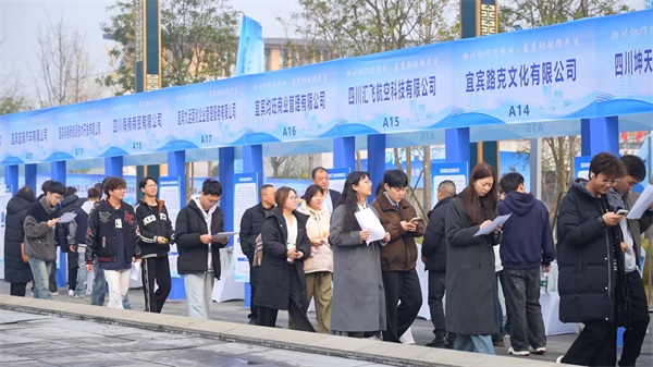 浙川协作促就业 蓝鹰助航稳民生——浙川...